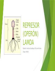 Operon Lambda.pptx