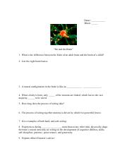 No and the Brain Chapter Questions (2).pdf