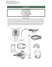 Isopod Crustaceans.pdf