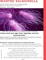 Copy of Salmonella Wanted  Poster.pdf on 2022-04-06 12:15:15.pdf