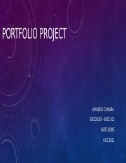 the portfolio project.pptx