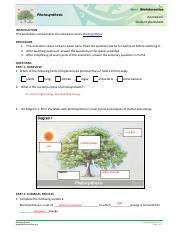 Anna Hill - HHMI photosynth worksheet.pdf