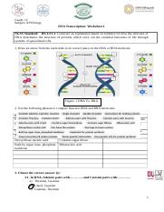 Comparison between RNA and DNA - Copy.docx
