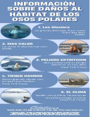 5 facts about polar bears losing their habitat.pdf