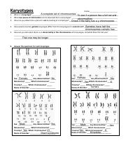 Karyotypes+Worksheet.pdf