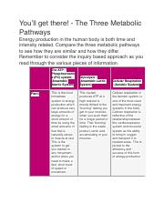 U4L2 The Three Metabolic Pathways.pdf
