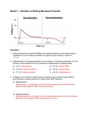 Action_Potential_Answers