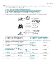 minerals homework 1.pdf