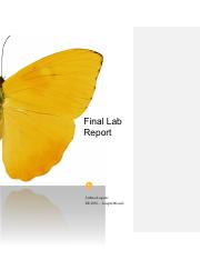 Final Lab Report ee203