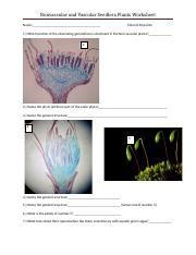 Non-vascular and vascular seedless plants.docx