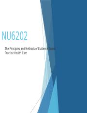 NU6202 - Introduction Workshop 1.pptx