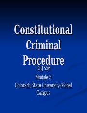 Module05Constitutionalcriminalprocedure.ppt