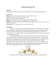 Copy of Virtual Osmosis Egg Lab.pdf