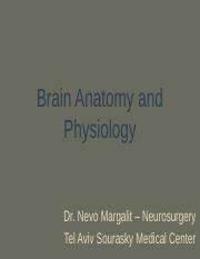 32019237-Brain-Anatomy-Physiology.ppt