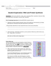 Copy of RNAProteinSynthesisSE.docx