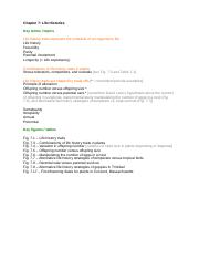 Chapter 7_key terms, topics, figures, tables.docx