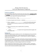 Biology 100 Cell Cycle Laboratory Revised 7-2020.docx