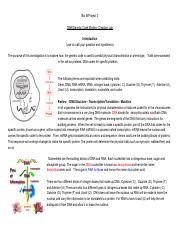 Copy of Mystery Creature  DNA_Genetic Code Lab .pdf