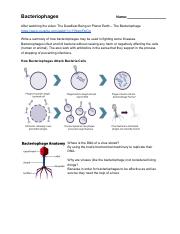 AHMEDELMURTADA AHMED - Video worksheet - Bacteriophages.pdf