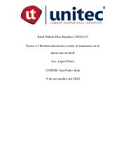 Tarea 4.1 Boletín informativo sobre el fenómeno de la interconectividad..pdf