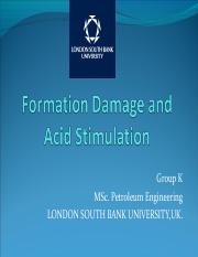 Formation damage presentation 1.pdf