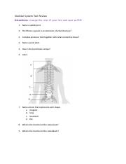 Skeletal System Test Review.docx