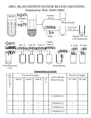 1-Blood group ABO Rh (D) rack layout.pptx