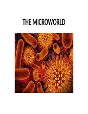 THE MICROWORLD.pptx