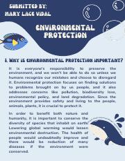 Vidal_Environmental Protection.pdf