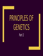 3 - principles of genetics 2.pptx