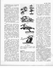 中国大百科全书17_265.pdf