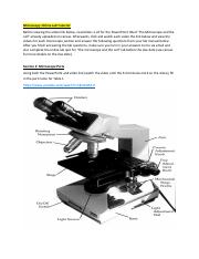 Microscopy and the cell online lab-1.pdf
