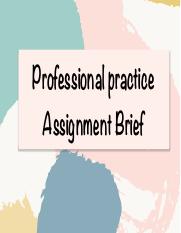 Professional Practice Assignment Brief.pdf