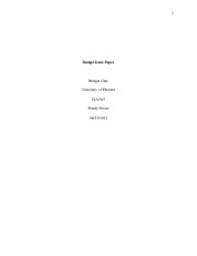 Budget Issue Paper(CJA365)(Gray).docx