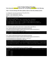 Lab 4_Python dl5702.docx