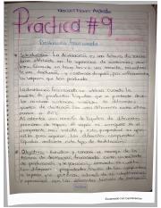Reporte práctica #9 Marisol Flores Andrade.pdf