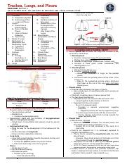 Anatomy 3.01 - Trachea, Lungs and Pleura.pdf