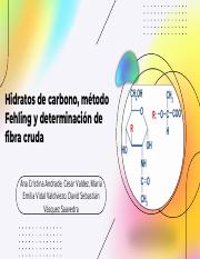 Hidratos de carbono.pdf