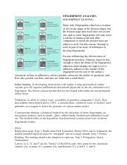 Forensics Cheet Sheet.pdf