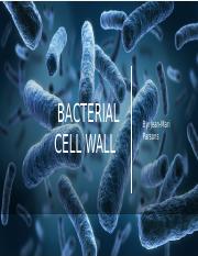 Bacterial Cell Wall  (1).pptx