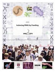 3-Inducing RNAi by Feeding.pdf