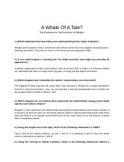 Whale Case Study.docx