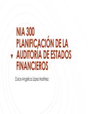 NIA 300.pdf