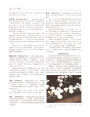 世界百科全书国际中文版11_438.pdf