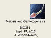 Meiosis and Gametogenesis JWR a