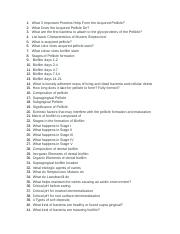 Exam Questions.docx
