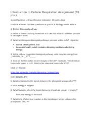 Introduction to Cellular Respiration Assignment.docx