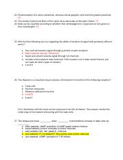 Answers copy 3.pdf