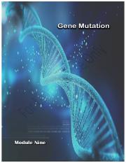 9 - Gene Mutation.pdf