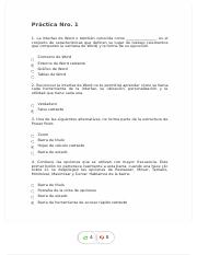 examen-practico-nro-1_compress.pdf